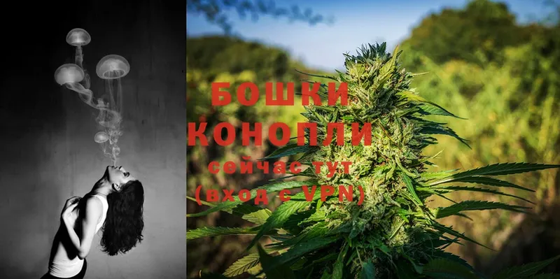 blacksprut ССЫЛКА  Шлиссельбург  Каннабис OG Kush 